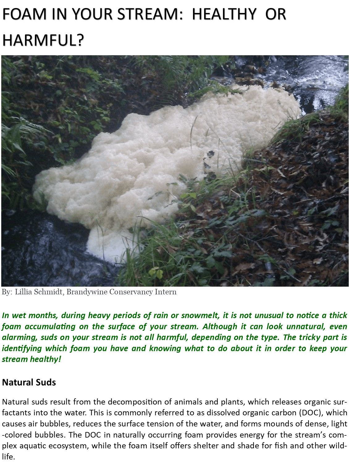 Foam In Your Stream_Page_1.jpg